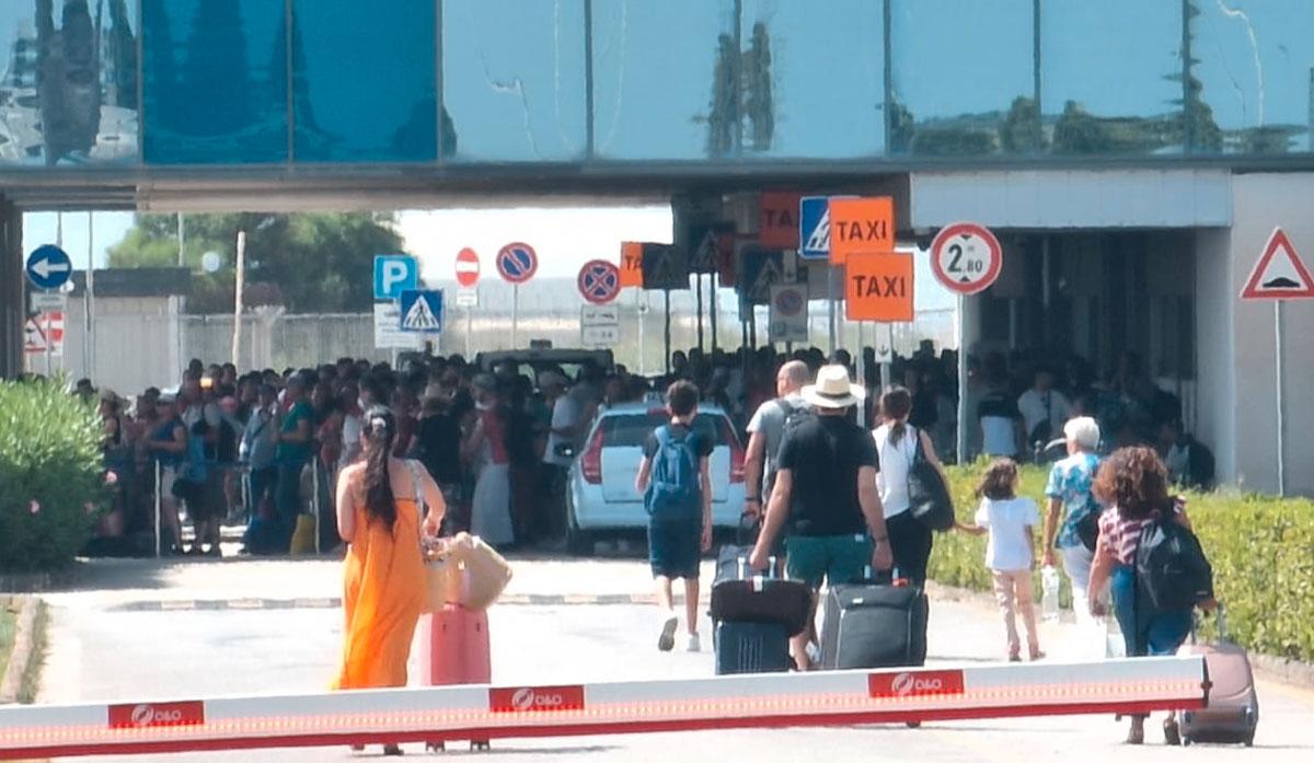 voli da trapani per pisa
