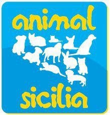 420498_184650194982061_1652418206_n