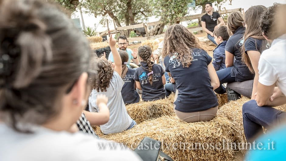 equus-cimarosa-2015-5860