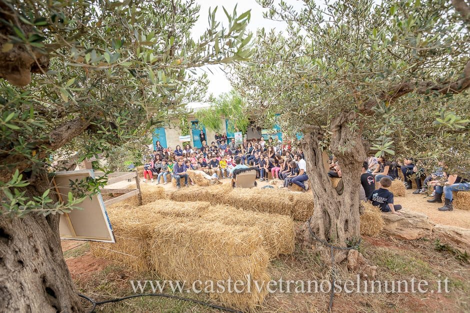 equus-cimarosa-2015-5882