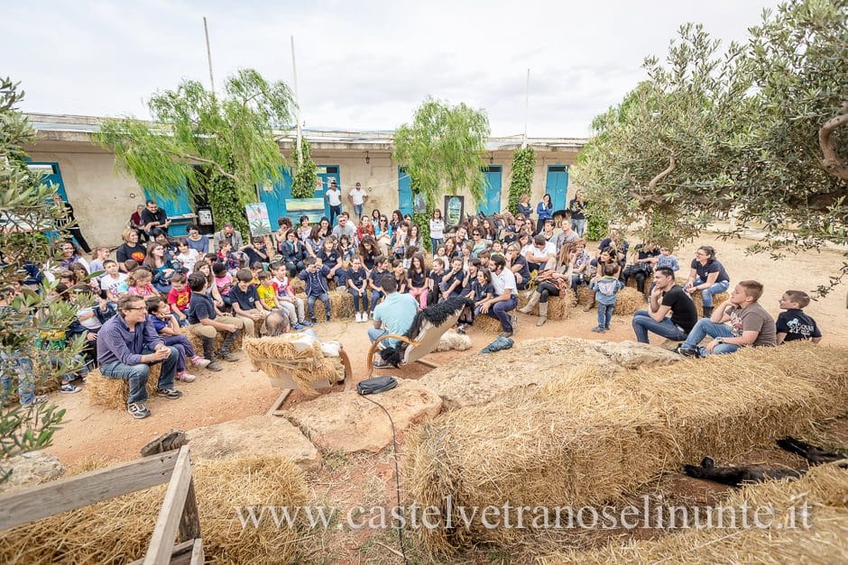 equus-cimarosa-2015-5890