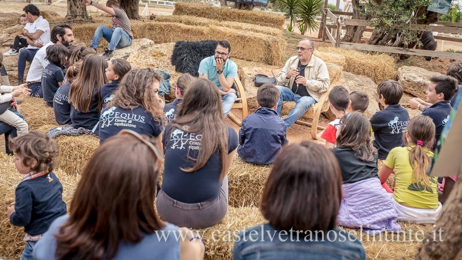 equus-cimarosa-2015-5910