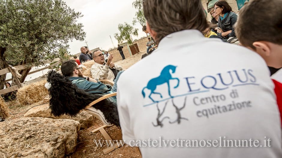 equus-cimarosa-2015-5920