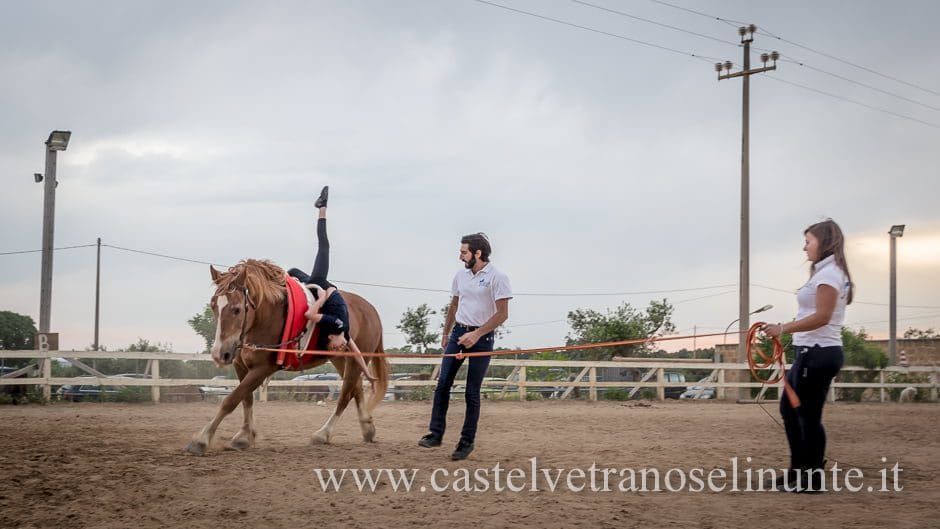 equus-cimarosa-2015-5969