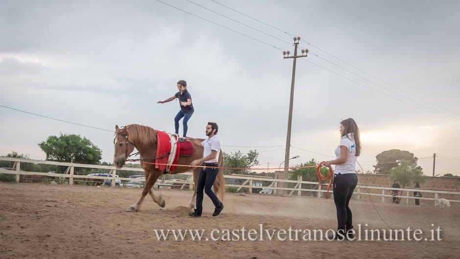 equus-cimarosa-2015-5972