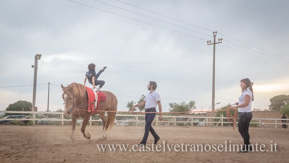 equus-cimarosa-2015-5975