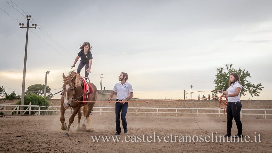 equus-cimarosa-2015-5979