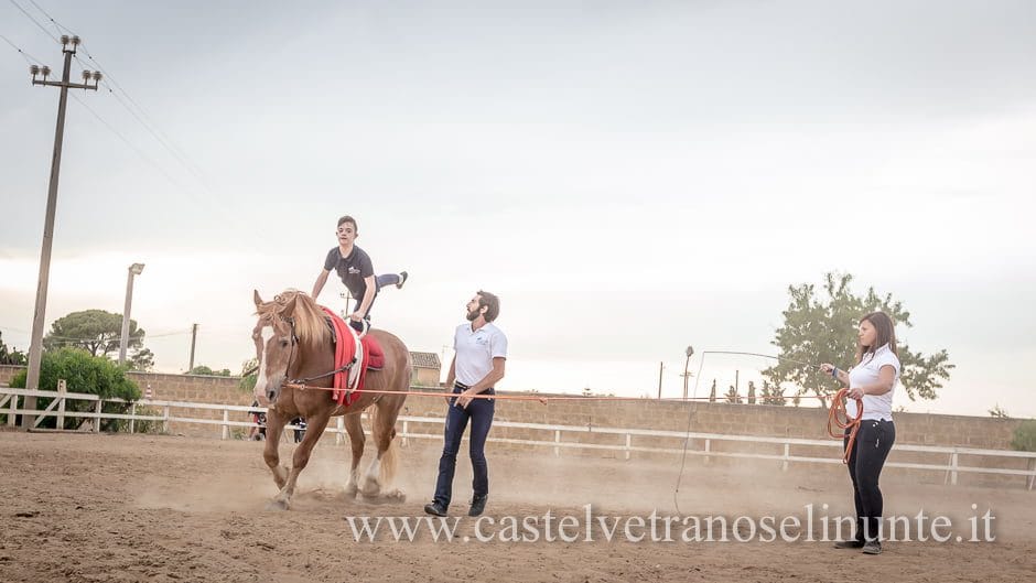 equus-cimarosa-2015-5981