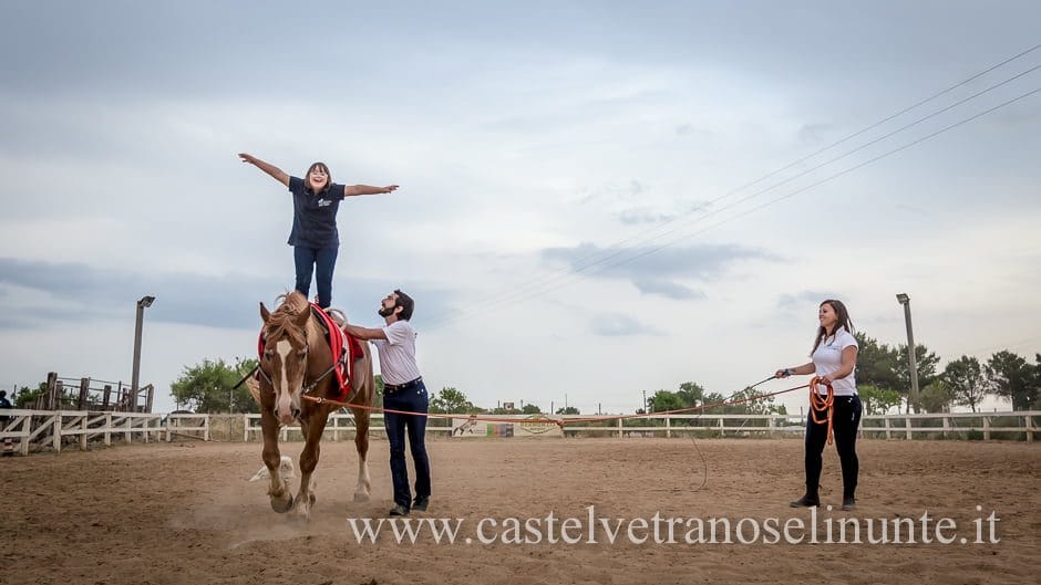 equus-cimarosa-2015-5986