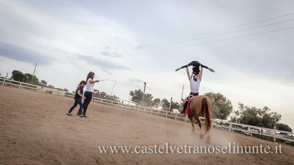 equus-cimarosa-2015-5994