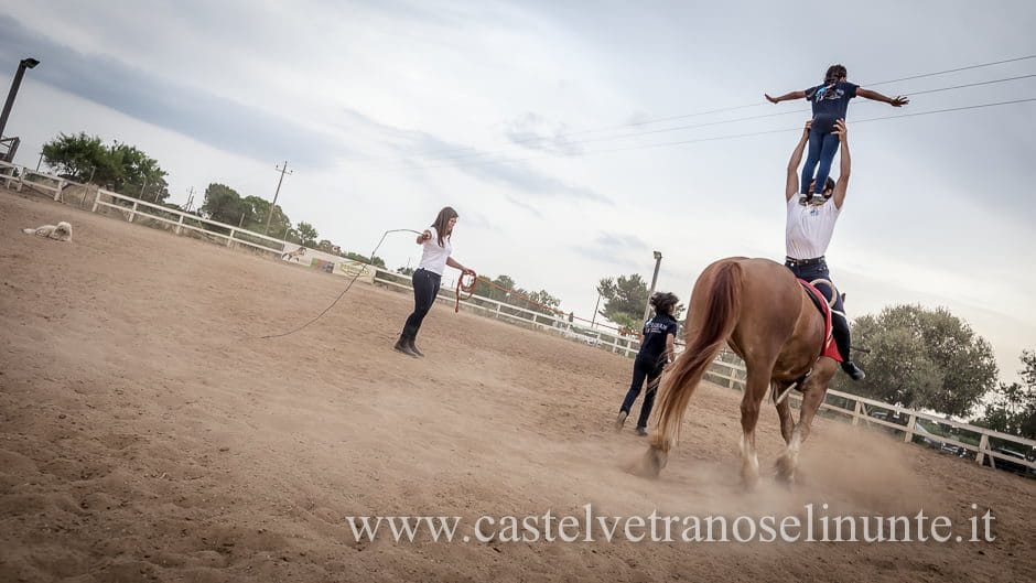 equus-cimarosa-2015-6001