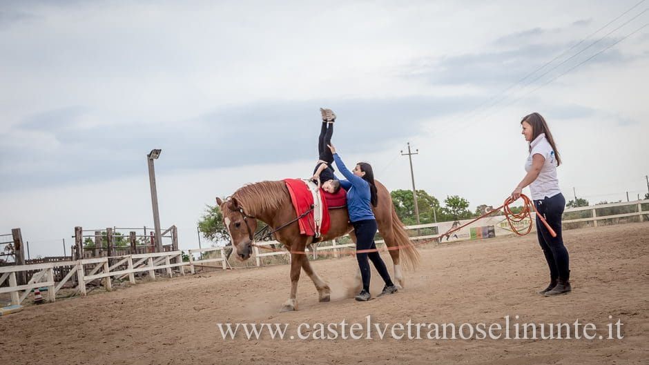 equus-cimarosa-2015-6025