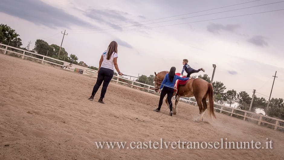 equus-cimarosa-2015-6036