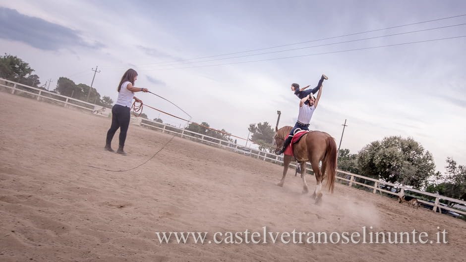 equus-cimarosa-2015-6062