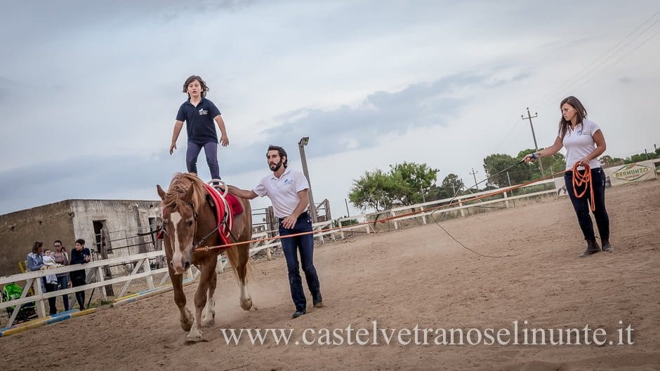 equus-cimarosa-2015-6085
