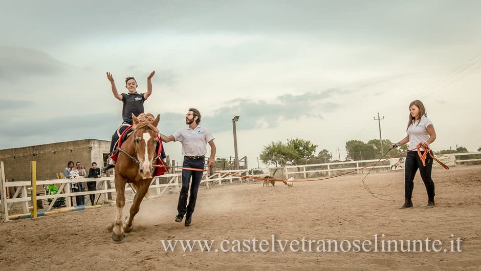 equus-cimarosa-2015-6093