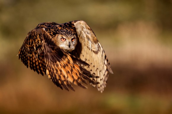 national geographic 2011 05