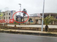 pannello-pubblicitario