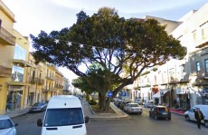 piazza-matteotti-castelvetrano