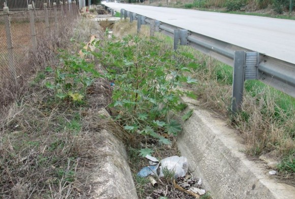 ss 115 marinella di Selinunte 2