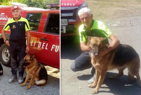 unita cinofile amatrice